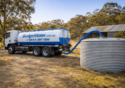 ChatGPT Image Jan 30, 2026, 02_24_10 PM (1)