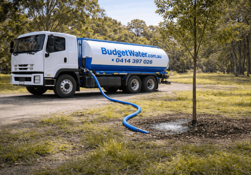 ChatGPT Image Jan 30, 2026, 06_40_26 PM (1)